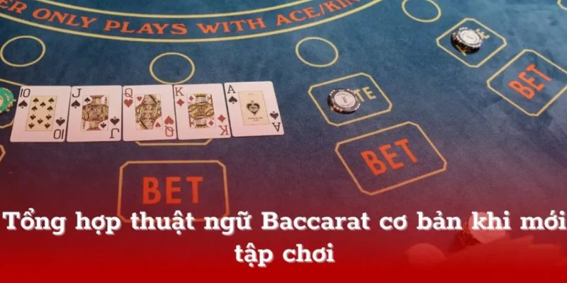 Tìm hiểu hệ thống thuật ngữ trong cách chơi Baccarat