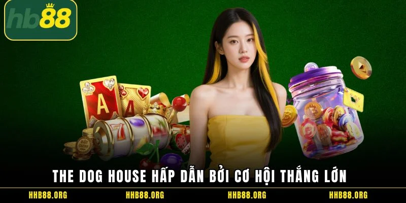 The Dog House hấp dẫn bởi cơ hội thắng lớn